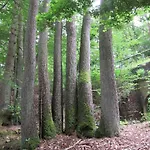 Ederlust Heilungsraeume Ev