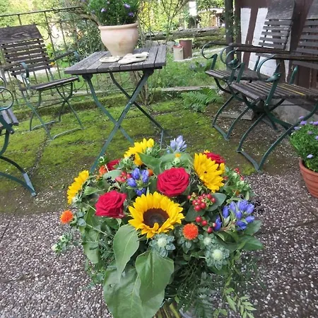 Ederlust Heilungsraeume Ev 3* Hatzfeld