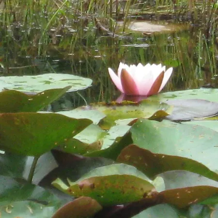 Ederlust Heilungsraeume Ev فندق مبيت وإفطار