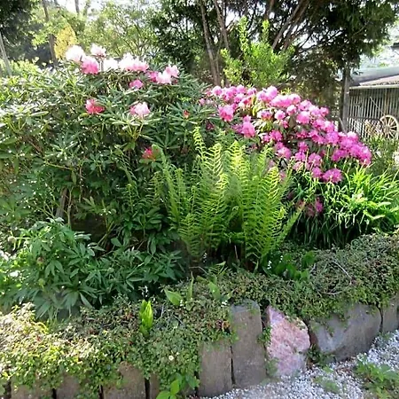 Bed & Breakfast Ederlust Heilungsraeume Ev Hatzfeld
