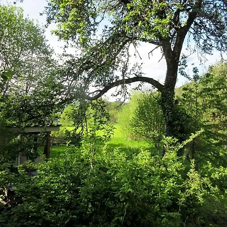 Ederlust Heilungsraeume Ev 3* Hatzfeld