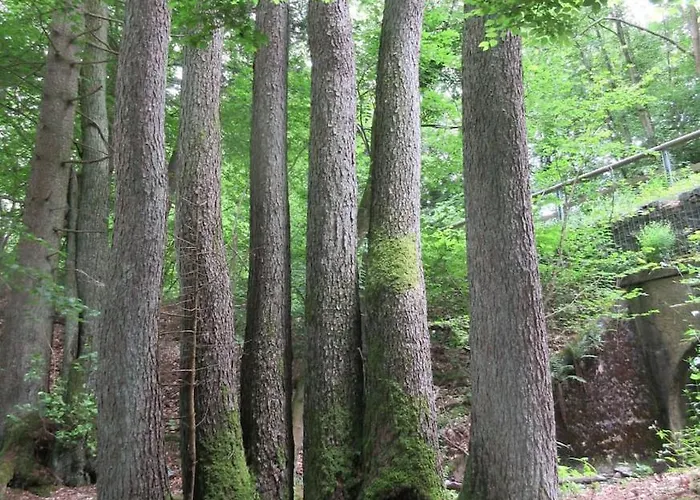Ederlust Heilungsraeume Ev
