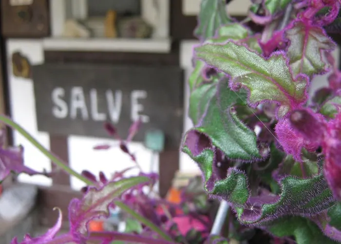 Bed and breakfast Ederlust Heilungsraeume Ev 3*