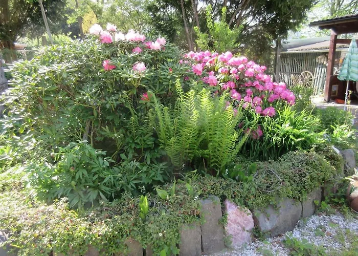 Bed and breakfast Ederlust Heilungsraeume Ev