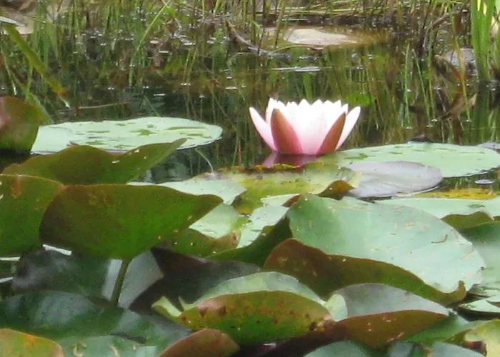 Ederlust Heilungsraeume Ev Bed and breakfast